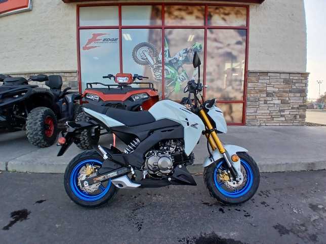 2026 Kawasaki Z125 PRO