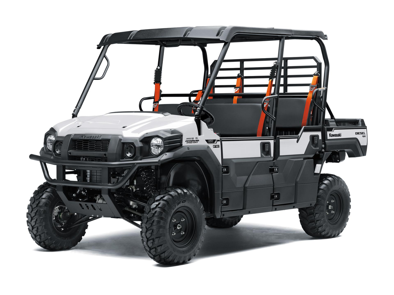 2025 Kawasaki MULE PRO DXT FE EPS