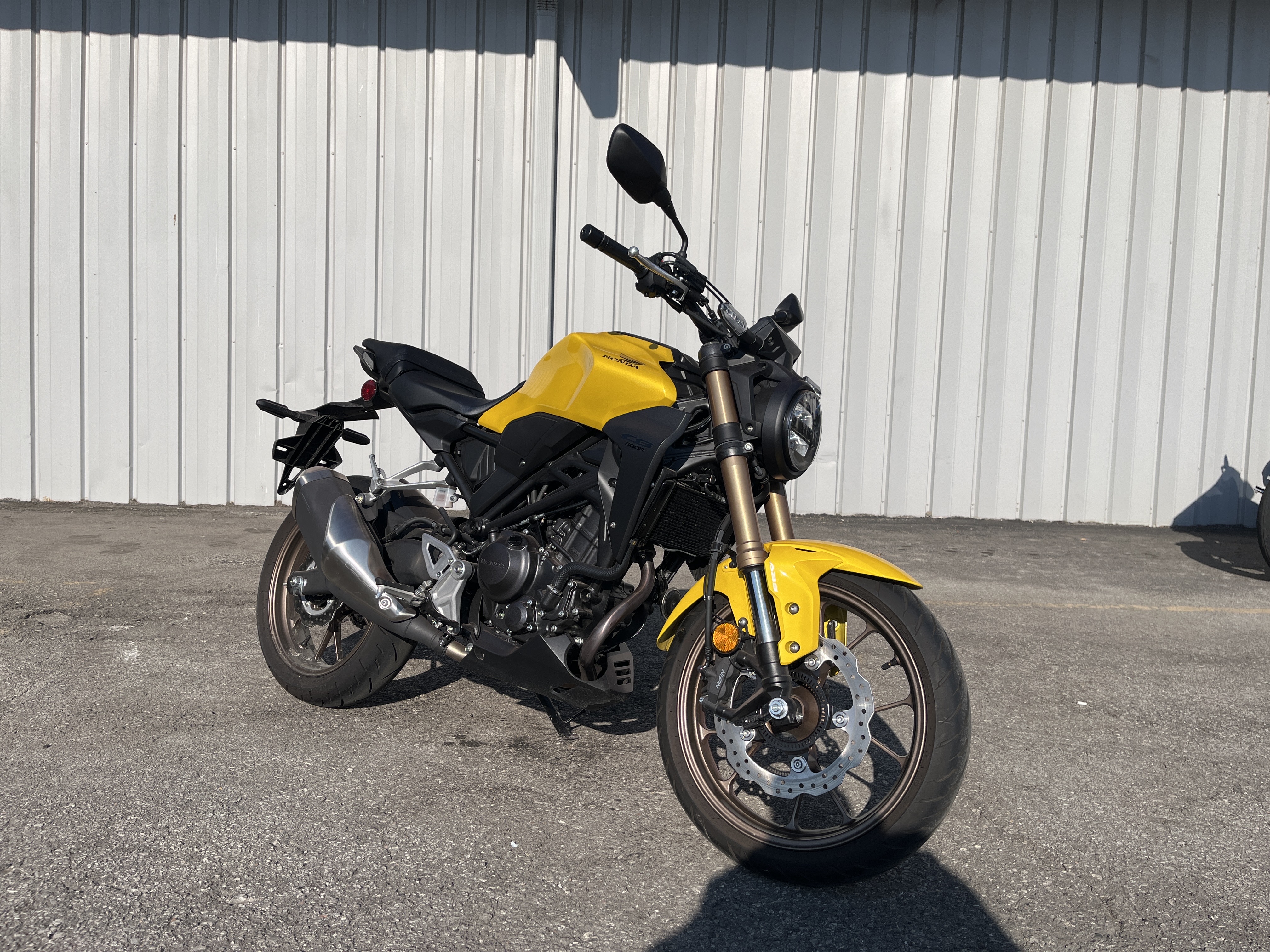 2024 HONDA CB 300R ABS