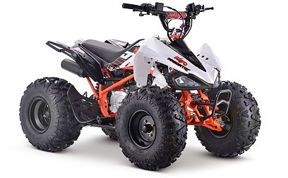 2020 Kayo Predator - 125 for sale in the Pompano Beach, FL area. Get the best drive out price on 2020 Kayo Predator - 125 and compare.