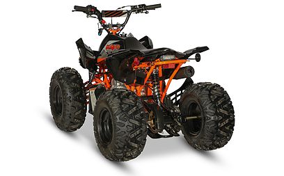 2020 Kayo Predator - 125 for sale in the Pompano Beach, FL area. Get the best drive out price on 2020 Kayo Predator - 125 and compare.