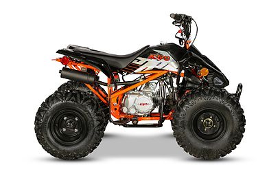 2020 Kayo Predator - 125 for sale in the Pompano Beach, FL area. Get the best drive out price on 2020 Kayo Predator - 125 and compare.