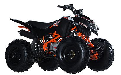 2020 Kayo Storm - 150 for sale in the Pompano Beach, FL area. Get the best drive out price on 2020 Kayo Storm - 150 and compare.