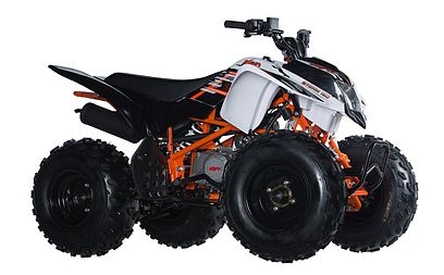 2020 Kayo Storm - 150 for sale in the Pompano Beach, FL area. Get the best drive out price on 2020 Kayo Storm - 150 and compare.