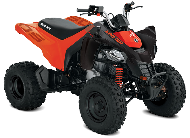 2021 Can-Am DS - 250® for sale in the Pompano Beach, FL area. Get the best drive out price on 2021 Can-Am DS - 250® and compare.