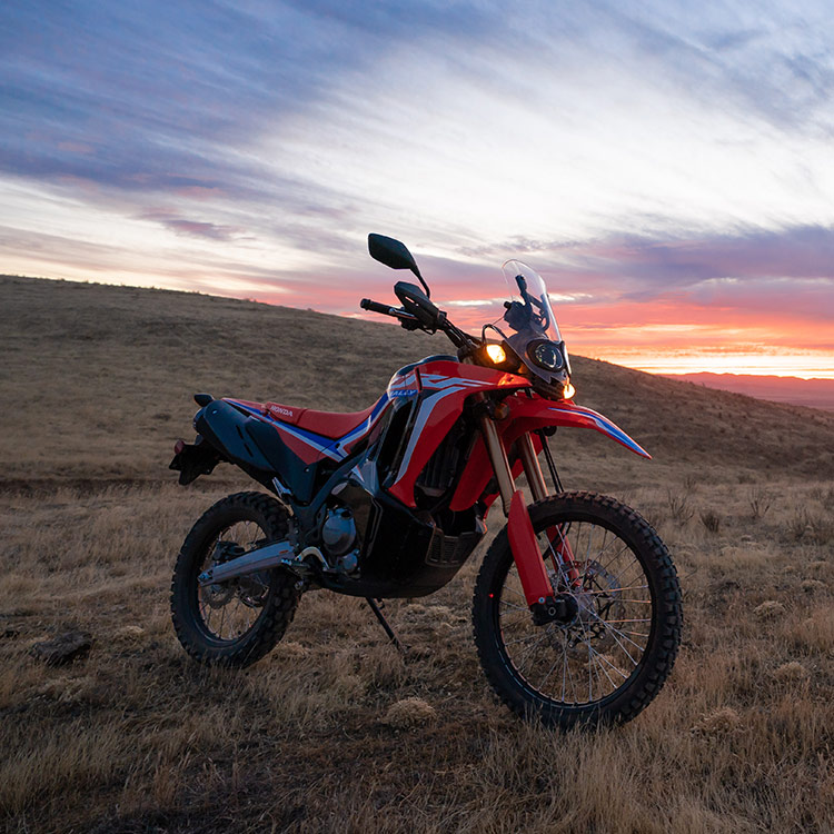 2021 Honda CRF - 300L Rally ABS for sale in the Pompano Beach, FL area. Get the best drive out price on 2021 Honda CRF - 300L Rally ABS and compare.