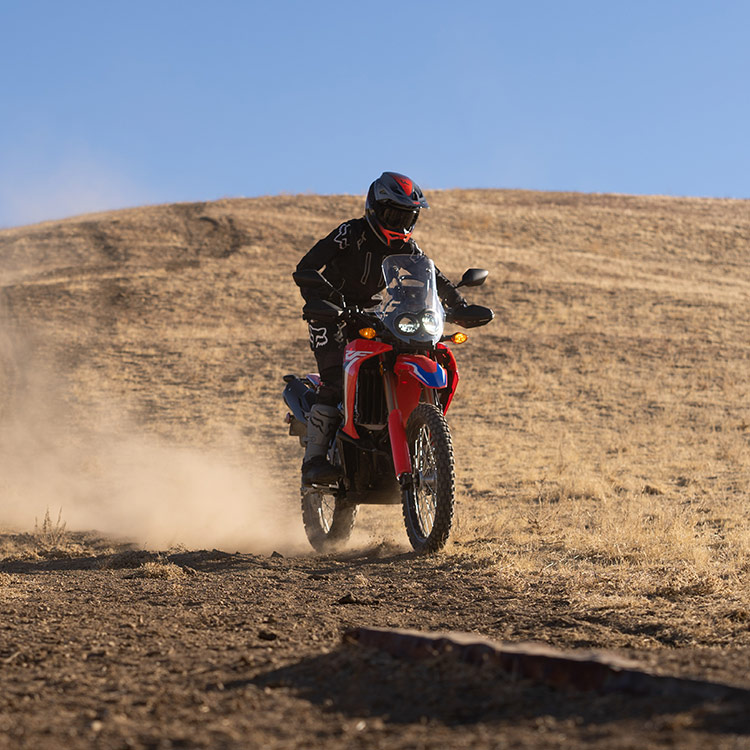 2021 Honda CRF - 300L Rally for sale in the Pompano Beach, FL area. Get the best drive out price on 2021 Honda CRF - 300L Rally and compare.