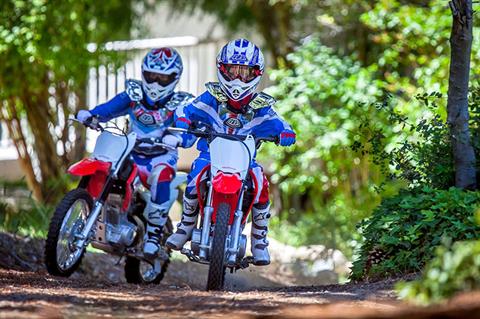 2021 Honda CRF - 50F for sale in the Pompano Beach, FL area. Get the best drive out price on 2021 Honda CRF - 50F and compare.