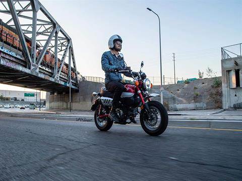 2021 Honda Monkey - ABS for sale in the Pompano Beach, FL area. Get the best drive out price on 2021 Honda Monkey - ABS and compare.