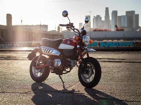 2021 Honda Monkey - ABS for sale in the Pompano Beach, FL area. Get the best drive out price on 2021 Honda Monkey - ABS and compare.