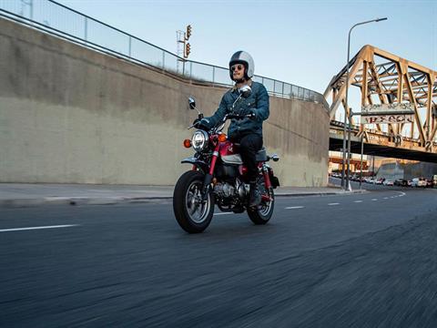 2021 Honda Monkey - ABS for sale in the Pompano Beach, FL area. Get the best drive out price on 2021 Honda Monkey - ABS and compare.
