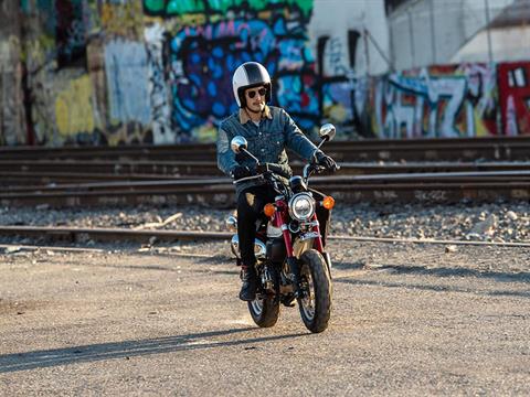 2021 Honda Monkey - ABS for sale in the Pompano Beach, FL area. Get the best drive out price on 2021 Honda Monkey - ABS and compare.