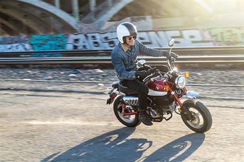 2021 Honda Monkey - Non-ABS for sale in the Pompano Beach, FL area. Get the best drive out price on 2021 Honda Monkey - Non-ABS and compare.