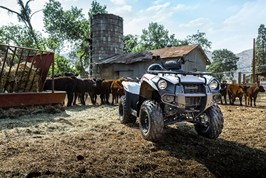 2021 Kawasaki BRUTE FORCE® - 300 for sale in the Pompano Beach, FL area. Get the best drive out price on 2021 Kawasaki BRUTE FORCE® - 300 and compare.