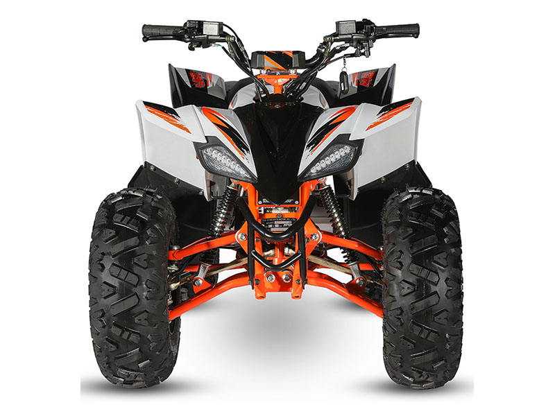 2021 Kayo Predator - 125 for sale in the Pompano Beach, FL area. Get the best drive out price on 2021 Kayo Predator - 125 and compare.