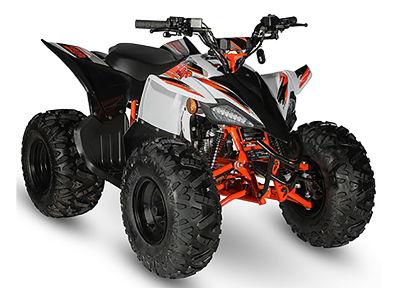 2021 Kayo Predator - 125 for sale in the Pompano Beach, FL area. Get the best drive out price on 2021 Kayo Predator - 125 and compare.