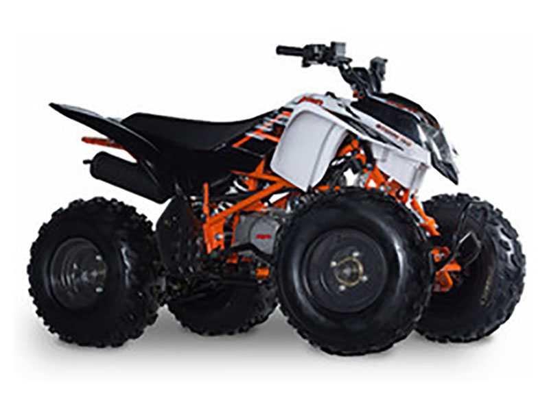 2021 Kayo Storm - 150 for sale in the Pompano Beach, FL area. Get the best drive out price on 2021 Kayo Storm - 150 and compare.