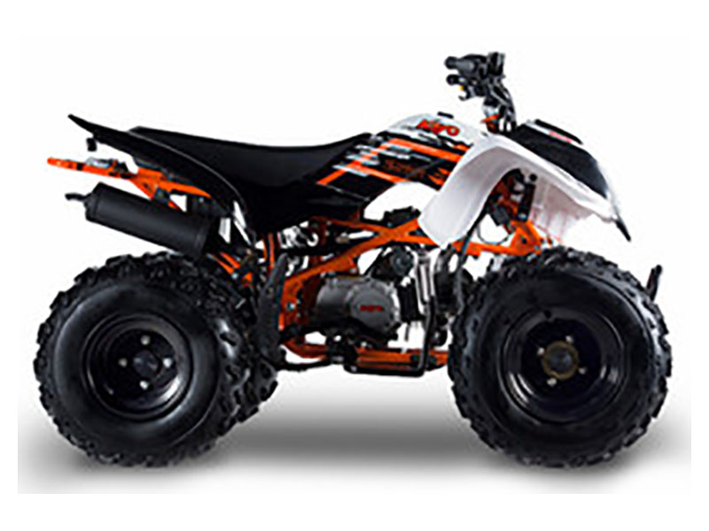 2021 Kayo Storm - 150 for sale in the Pompano Beach, FL area. Get the best drive out price on 2021 Kayo Storm - 150 and compare.