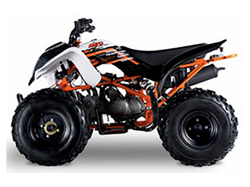 2021 Kayo Storm - 150 for sale in the Pompano Beach, FL area. Get the best drive out price on 2021 Kayo Storm - 150 and compare.