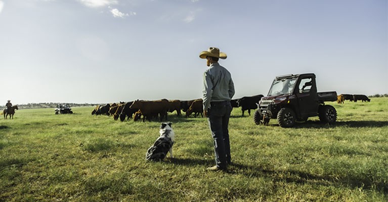 2021 Polaris RANGER® XP - 1000 Northstar Ultimate for sale in the Pompano Beach, FL area. Get the best drive out price on 2021 Polaris RANGER® XP - 1000 Northstar Ultimate and compare.