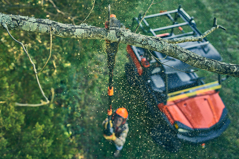 2023 Bad Boy Pole Saw - E-Series 80V Brushless 10 in. for sale in the Pompano Beach, FL area. Get the best drive out price on 2023 Bad Boy Pole Saw - E-Series 80V Brushless 10 in. and compare.