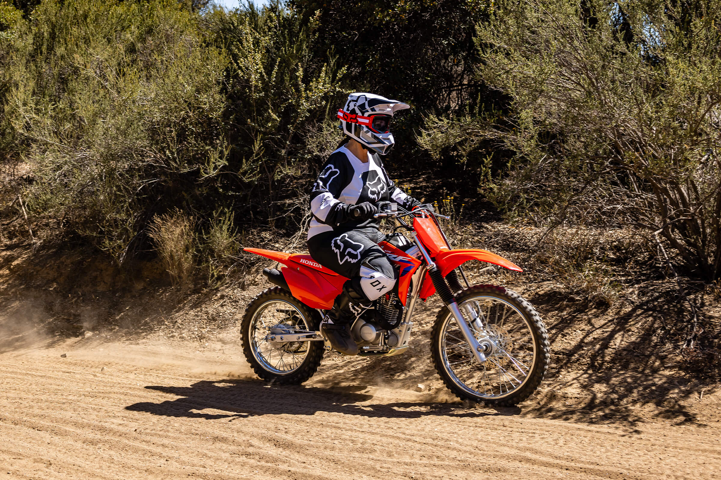 2023 Honda CRF - 125F Big Wheel for sale in the Pompano Beach, FL area. Get the best drive out price on 2023 Honda CRF - 125F Big Wheel and compare.