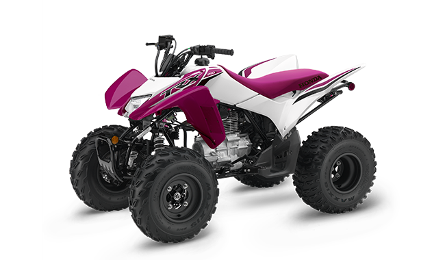 2023 Honda TRX - 250X for sale in the Pompano Beach, FL area. Get the best drive out price on 2023 Honda TRX - 250X and compare.