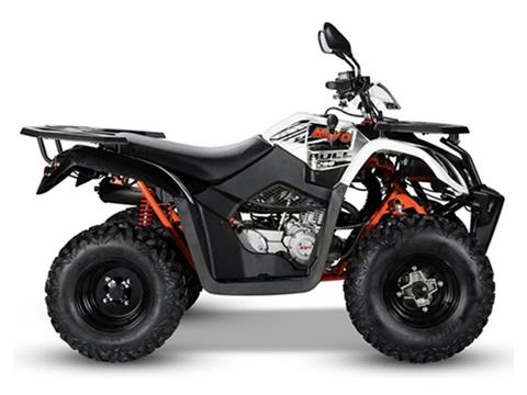 2023 Kayo Bull - 200 for sale in the Pompano Beach, FL area. Get the best drive out price on 2023 Kayo Bull - 200 and compare.