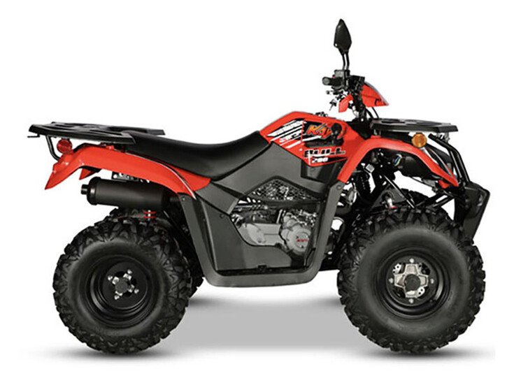 2023 Kayo Bull - 200 for sale in the Pompano Beach, FL area. Get the best drive out price on 2023 Kayo Bull - 200 and compare.