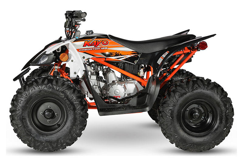 2023 Kayo Predator - 125 for sale in the Pompano Beach, FL area. Get the best drive out price on 2023 Kayo Predator - 125 and compare.