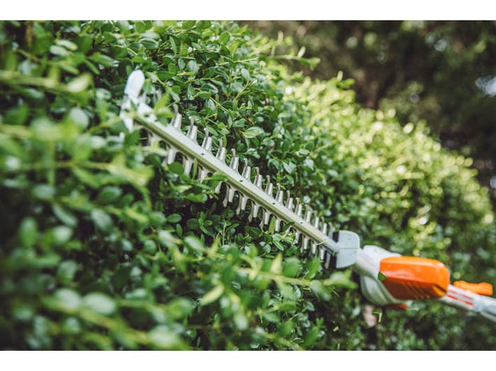 2023 STIHL HLA – 56 for sale in the Pompano Beach, FL area. Get the best drive out price on 2023 STIHL HLA – 56 and compare.