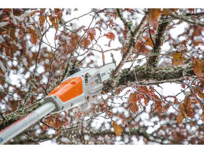 2023 STIHL HTA – 50 for sale in the Pompano Beach, FL area. Get the best drive out price on 2023 STIHL HTA – 50 and compare.