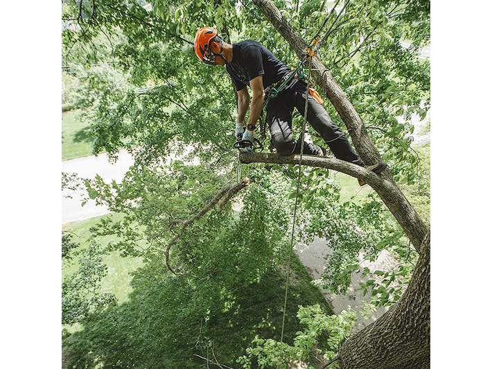 2023 STIHL MS – 194 T for sale in the Pompano Beach, FL area. Get the best drive out price on 2023 STIHL MS – 194 T and compare.