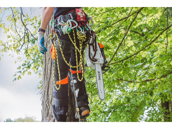 2023 STIHL MS – 201 T C-M for sale in the Pompano Beach, FL area. Get the best drive out price on 2023 STIHL MS – 201 T C-M and compare.