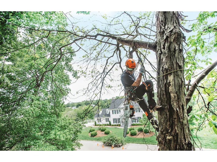 2023 STIHL MS – 201 T C-M for sale in the Pompano Beach, FL area. Get the best drive out price on 2023 STIHL MS – 201 T C-M and compare.
