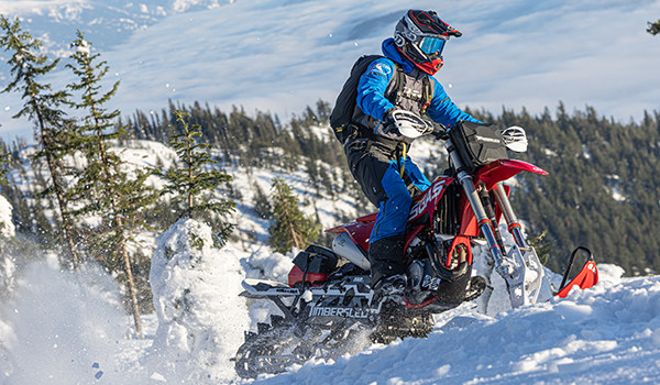 2023 Timbersled ARO™ - 3 Premium for sale in the Pompano Beach, FL area. Get the best drive out price on 2023 Timbersled ARO™ - 3 Premium and compare.