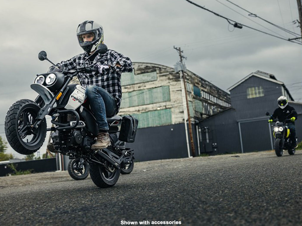 2024 CF MOTO PAPIO - CL for sale in the Pompano Beach, FL area. Get the best drive out price on 2024 CF MOTO PAPIO - CL and compare.
