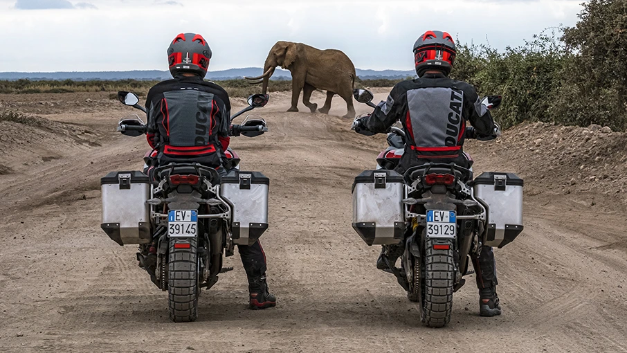 2024 Ducati Multistrada - V4 Rally Adventure Travel & Radar for sale in the Pompano Beach, FL area. Get the best drive out price on 2024 Ducati Multistrada - V4 Rally Adventure Travel & Radar and compare.