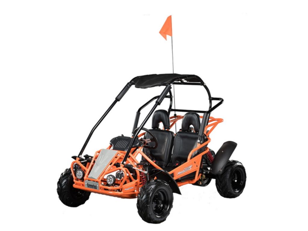 2024 Hammerhead Off-Road Mudhead® - 208R for sale in the Pompano Beach, FL area. Get the best drive out price on 2024 Hammerhead Off-Road Mudhead® - 208R and compare.