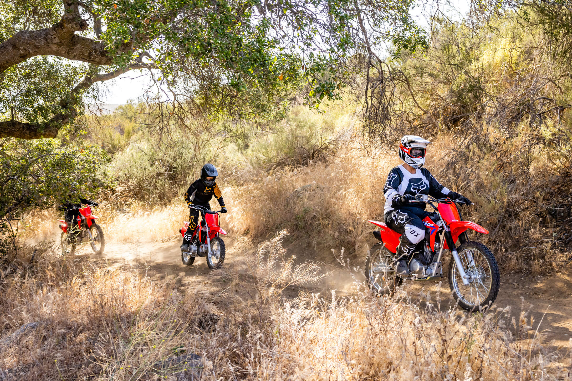 2024 Honda CRF - 125F Big Wheel for sale in the Pompano Beach, FL area. Get the best drive out price on 2024 Honda CRF - 125F Big Wheel and compare.