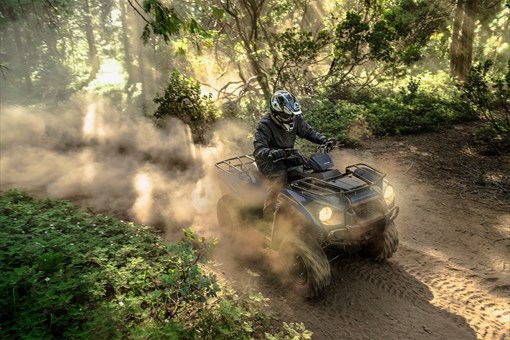 2024 Kawasaki BRUTE FORCE® - 300 for sale in the Pompano Beach, FL area. Get the best drive out price on 2024 Kawasaki BRUTE FORCE® - 300 and compare.