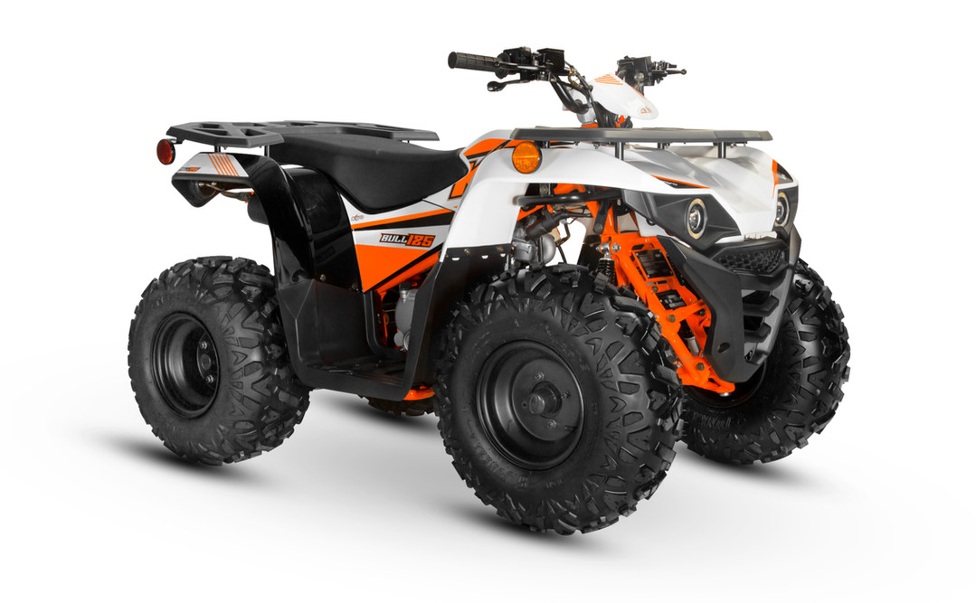 2024 Kayo Bull - 125 for sale in the Pompano Beach, FL area. Get the best drive out price on 2024 Kayo Bull - 125 and compare.
