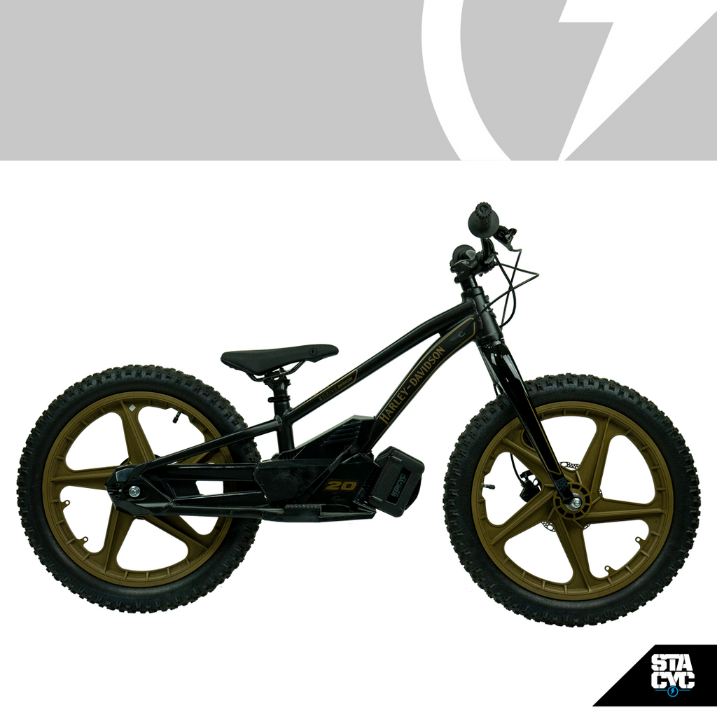 2024 Stacyc 20eDrive - Rigid Fork for sale in the Pompano Beach, FL area. Get the best drive out price on 2024 Stacyc 20eDrive - Rigid Fork and compare.