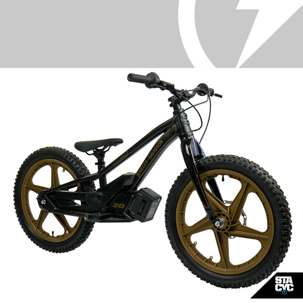 2024 Stacyc 20eDrive - Rigid Fork for sale in the Pompano Beach, FL area. Get the best drive out price on 2024 Stacyc 20eDrive - Rigid Fork and compare.