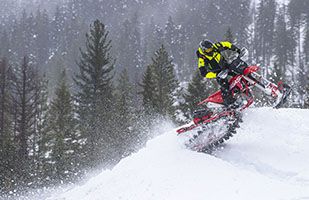 2024 Timbersled RIOT™ - 3 Premium for sale in the Pompano Beach, FL area. Get the best drive out price on 2024 Timbersled RIOT™ - 3 Premium and compare.