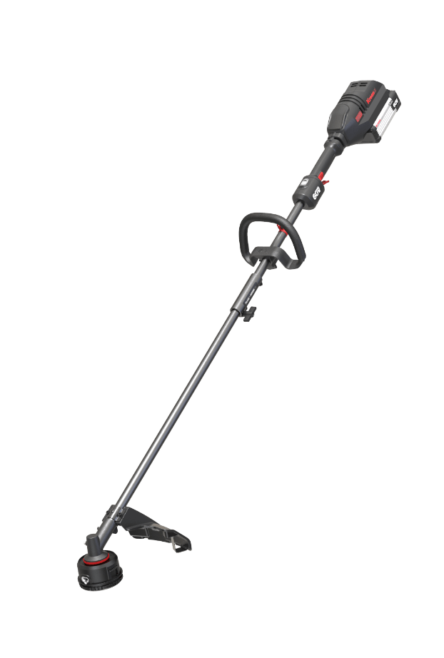 ACF Image