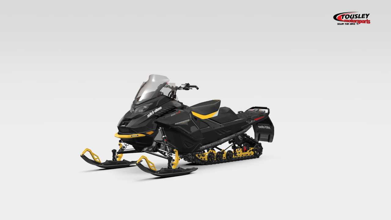 Ski-Doo Renegade Adrenaline 900 ACE Turbo R ES Ripsaw Image