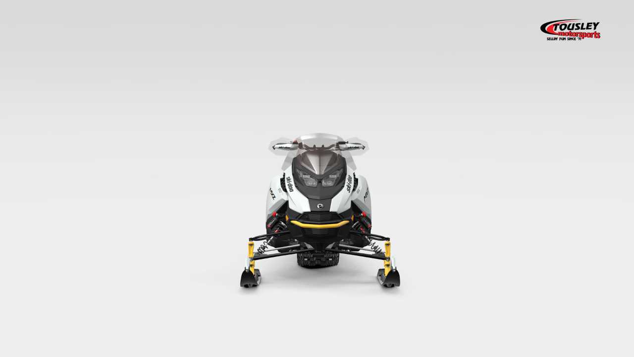 Ski-Doo MXZ Blizzard 850 E-Tec ES Ripsaw Image