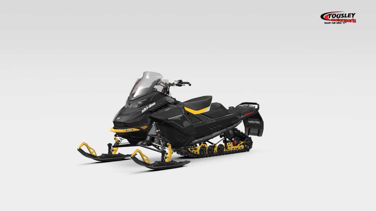 Ski-Doo Renegade Adrenaline 900 ACE ES Ripsaw Image