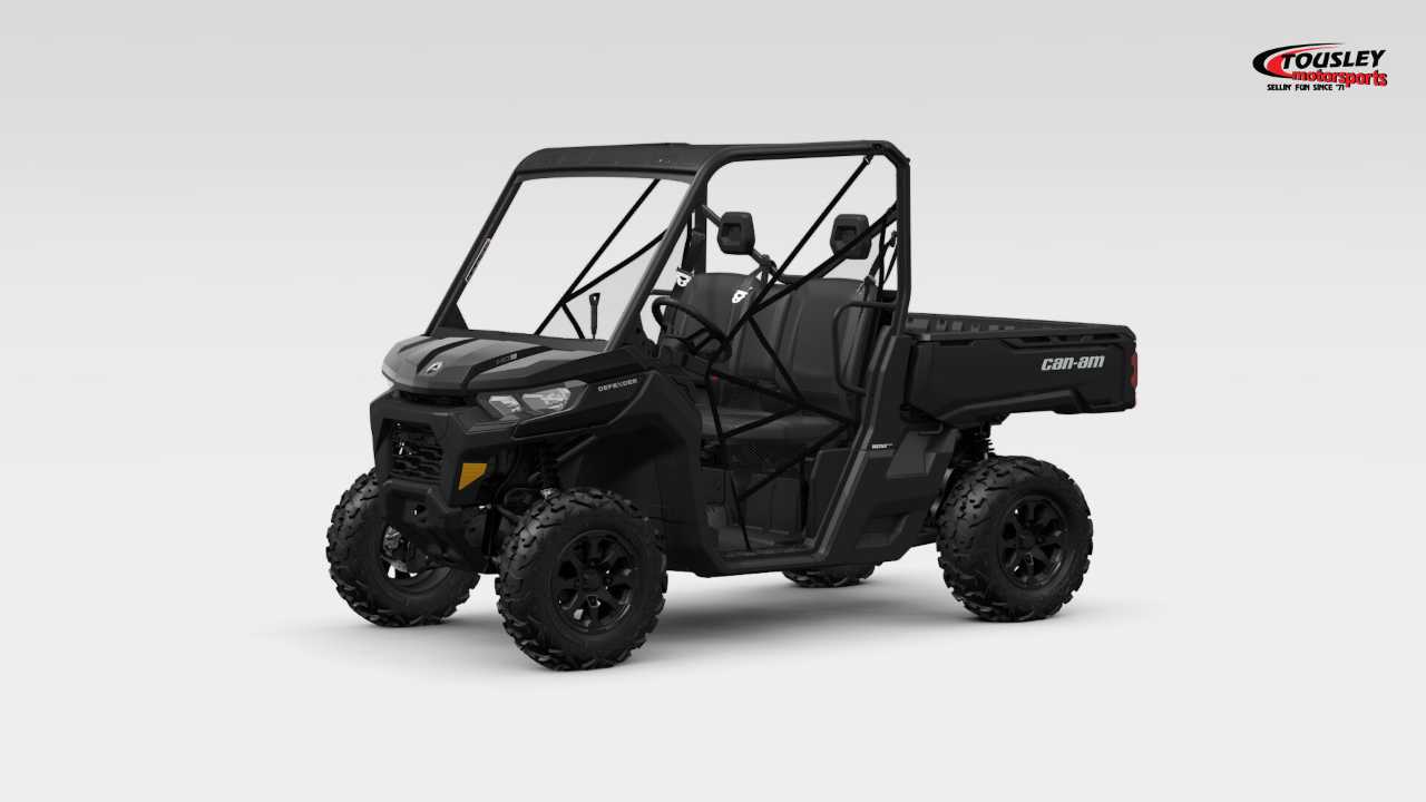 Can-Am Defender DPS HD9 Image